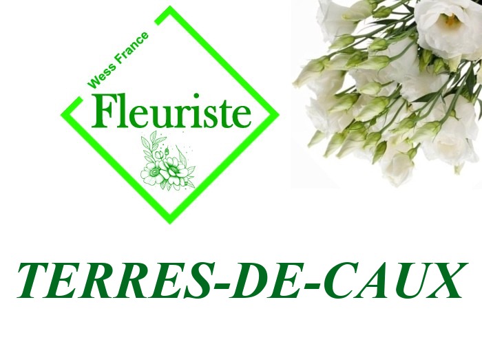 Fleuriste Terres-de-Caux Fleuriste Terres-de-Caux - livraison de fleurs Terres-de-Caux