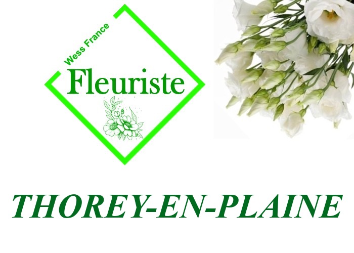 Fleuriste Thorey-en-Plaine Fleuriste Thorey-en-Plaine - livraison de fleurs Thorey-en-Plaine
