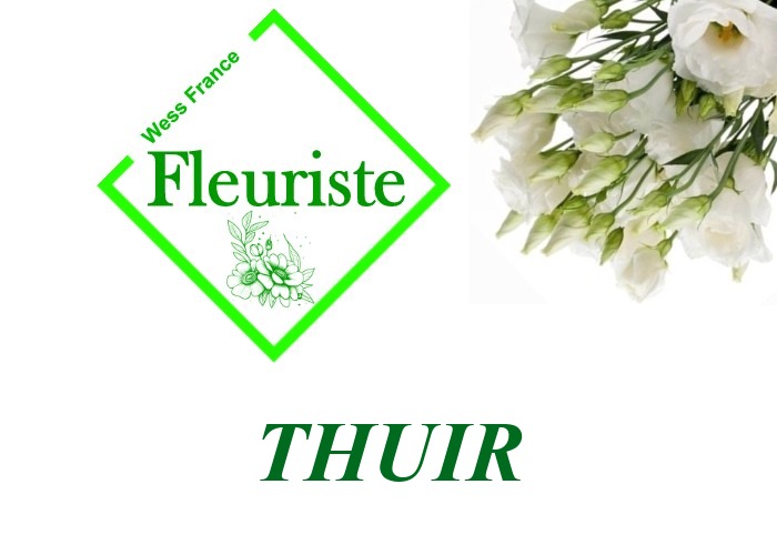 Fleuriste Thuir - livraison de fleurs Thuir