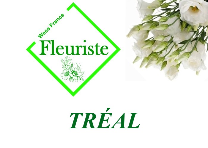 Fleuriste Tréal Fleuriste Tréal - livraison de fleurs Tréal
