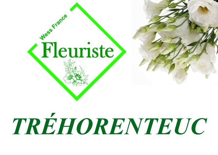 Fleuriste Tréhorenteuc Fleuriste Tréhorenteuc - livraison de fleurs Tréhorenteuc