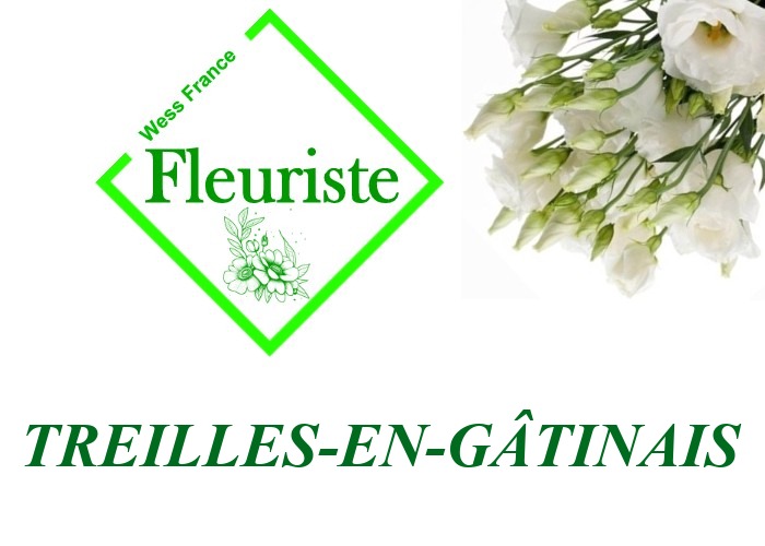 Fleuriste Treilles-en-Gâtinais - livraison de fleurs Treilles-en-Gâtinais