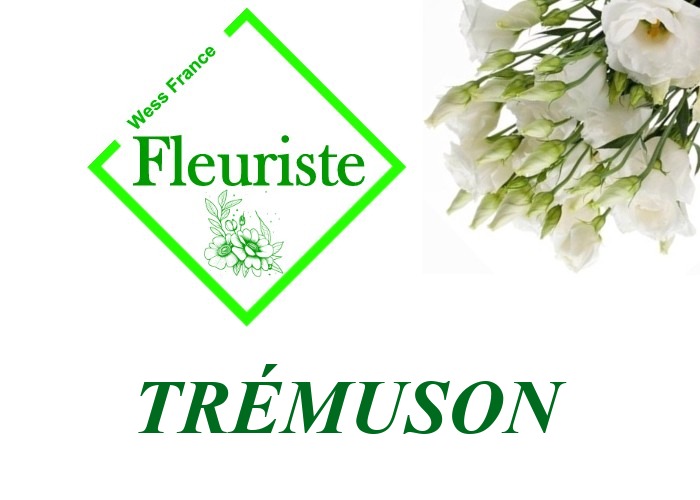 Fleuriste Trémuson - livraison de fleurs Trémuson