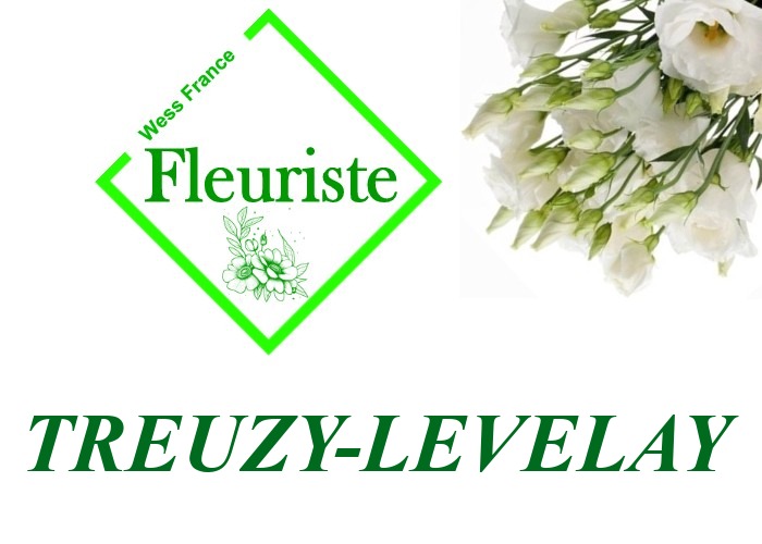 Fleuriste Treuzy-Levelay Fleuriste Treuzy-Levelay - livraison de fleurs Treuzy-Levelay
