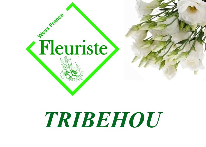 Fleuriste Tribehou Fleuriste Tribehou - livraison de fleurs Tribehou