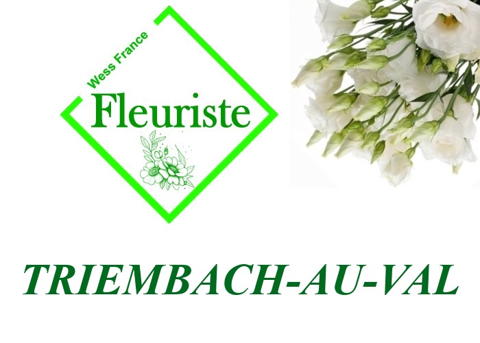 Fleuriste Triembach-au-Val Fleuriste Triembach-au-Val - livraison de fleurs Triembach-au-Val