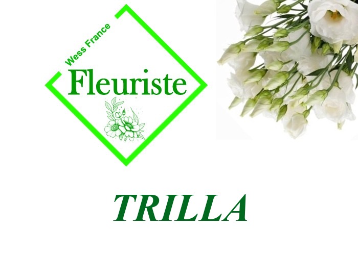 Fleuriste Trilla - livraison de fleurs Trilla