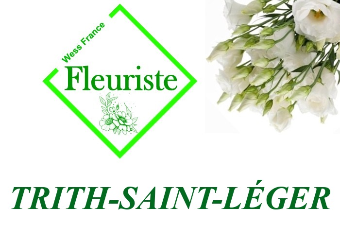 Fleuriste Trith-Saint-Léger Fleuriste Trith-Saint-Léger - livraison de fleurs Trith-Saint-Léger