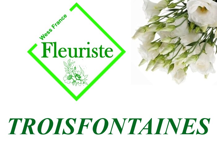 Fleuriste Troisfontaines Fleuriste Troisfontaines - livraison de fleurs Troisfontaines