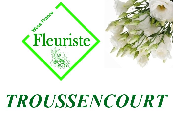 Fleuriste Troussencourt Fleuriste Troussencourt - livraison de fleurs Troussencourt