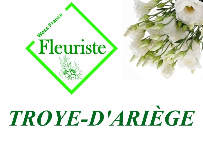 Fleuriste Troye-d'Ariège Fleuriste Troye-d'Ariège - livraison de fleurs Troye-d'Ariège