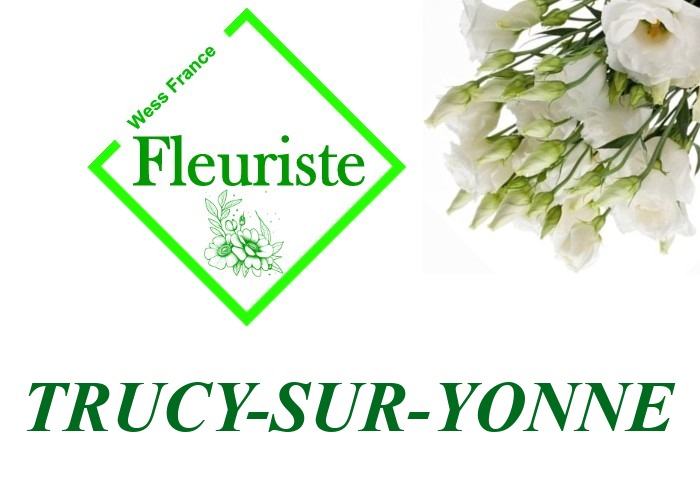 Fleuriste Trucy-sur-Yonne Fleuriste Trucy-sur-Yonne - livraison de fleurs Trucy-sur-Yonne