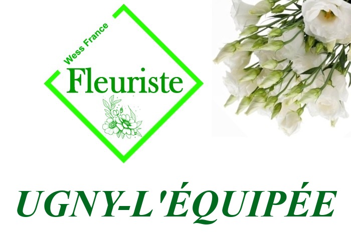 Fleuriste Ugny-l'Équipée - livraison de fleurs Ugny-l'Équipée
