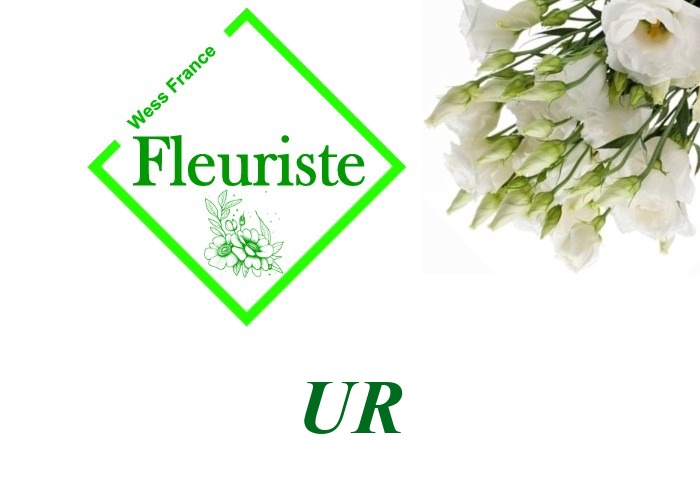 Fleuriste Ur Fleuriste Ur - livraison de fleurs Ur