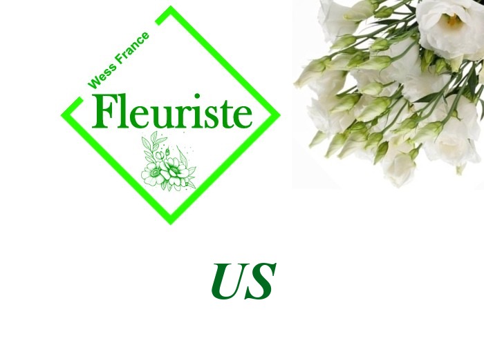 Fleuriste Us Fleuriste Us - livraison de fleurs Us