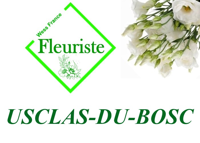 Fleuriste Usclas-du-Bosc Fleuriste Usclas-du-Bosc - livraison de fleurs Usclas-du-Bosc