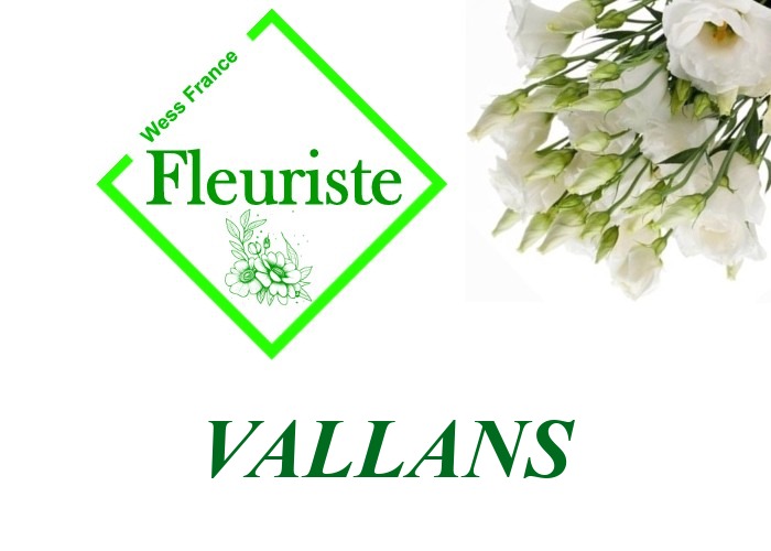 Fleuriste Vallans Fleuriste Vallans - livraison de fleurs Vallans