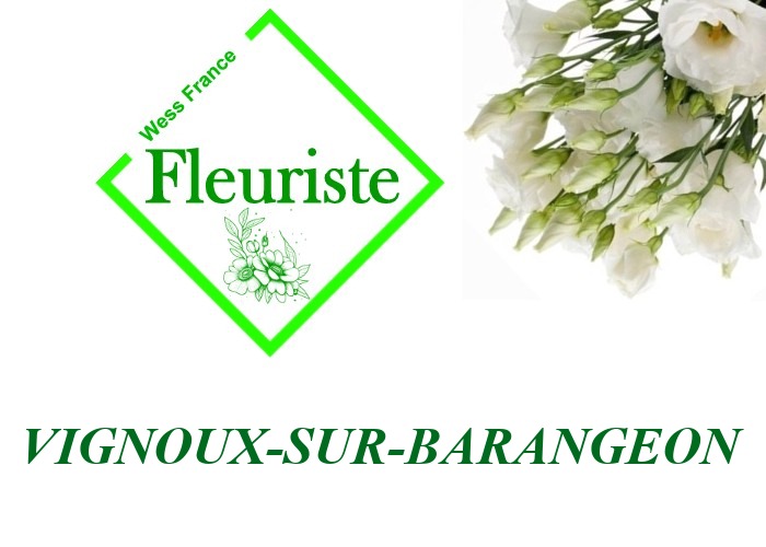 Fleuriste Vignoux-sur-Barangeon Fleuriste Vignoux-sur-Barangeon - livraison de fleurs Vignoux-sur-Barangeon