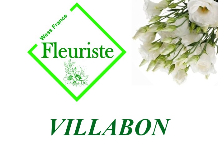 Fleuriste Villabon Fleuriste Villabon - livraison de fleurs Villabon