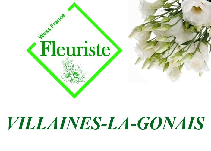 Fleuriste Villaines-la-Gonais Fleuriste Villaines-la-Gonais - livraison de fleurs Villaines-la-Gonais