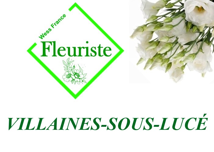 Fleuriste Villaines-sous-Lucé Fleuriste Villaines-sous-Lucé - livraison de fleurs Villaines-sous-Lucé