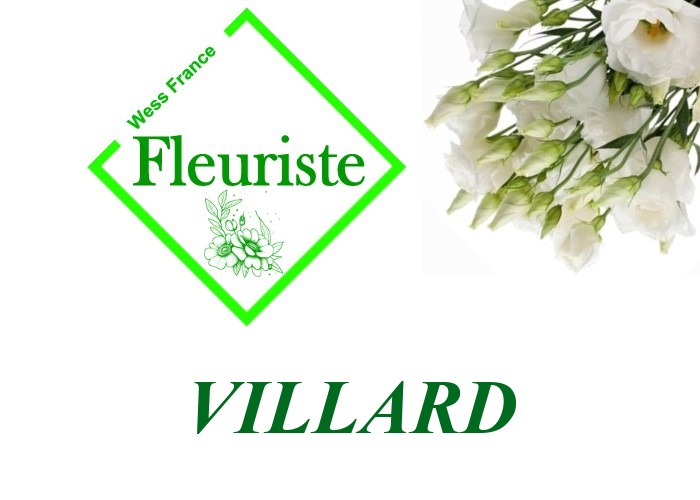 Fleuriste Villard Fleuriste Villard - livraison de fleurs Villard