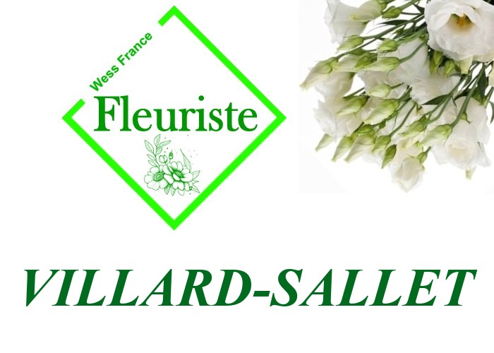 Fleuriste Villard-Sallet Fleuriste Villard-Sallet - livraison de fleurs Villard-Sallet