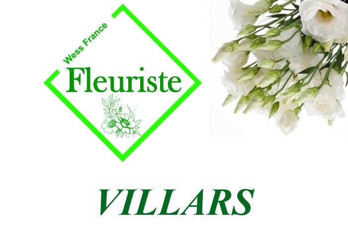 Fleuriste Villars Fleuriste Villars - livraison de fleurs Villars
