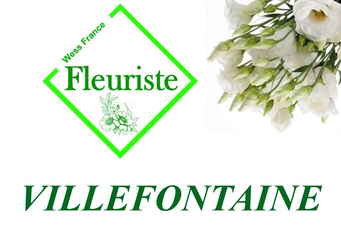 Fleuriste Villefontaine Fleuriste Villefontaine - livraison de fleurs Villefontaine