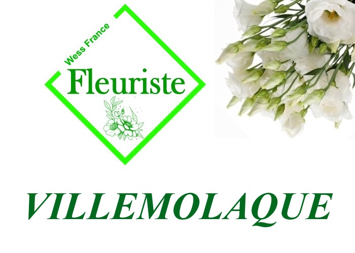 Fleuriste Villemolaque - livraison de fleurs Villemolaque
