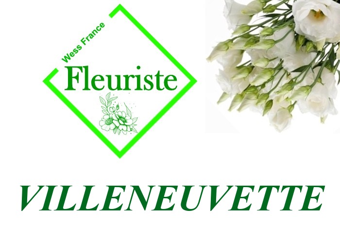 Fleuriste Villeneuvette Fleuriste Villeneuvette - livraison de fleurs Villeneuvette