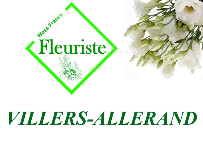 Fleuriste Villers-Allerand Fleuriste Villers-Allerand - livraison de fleurs Villers-Allerand