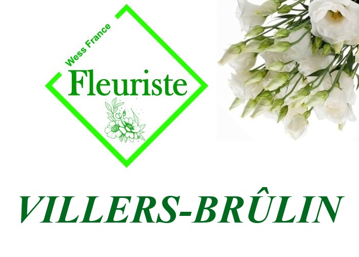 Fleuriste Villers-Brûlin Fleuriste Villers-Brûlin - livraison de fleurs Villers-Brûlin
