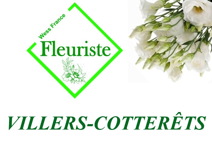 Fleuriste Villers-Cotterêts Fleuriste Villers-Cotterêts - livraison de fleurs Villers-Cotterêts