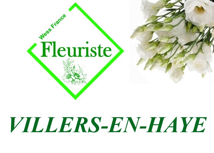 Fleuriste Villers-en-Haye Fleuriste Villers-en-Haye - livraison de fleurs Villers-en-Haye