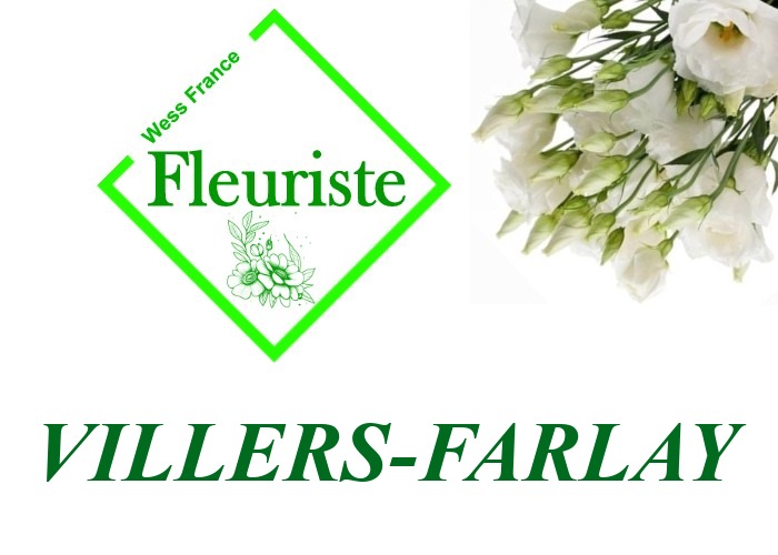 Fleuriste Villers-Farlay Fleuriste Villers-Farlay - livraison de fleurs Villers-Farlay
