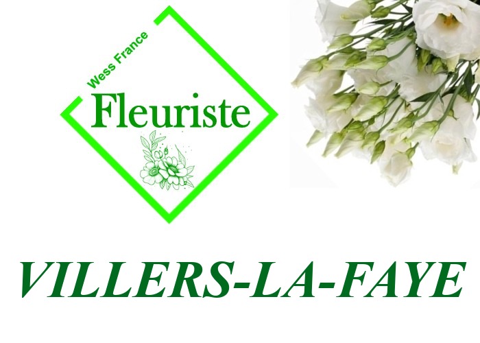 Fleuriste Villers-la-Faye Fleuriste Villers-la-Faye - livraison de fleurs Villers-la-Faye