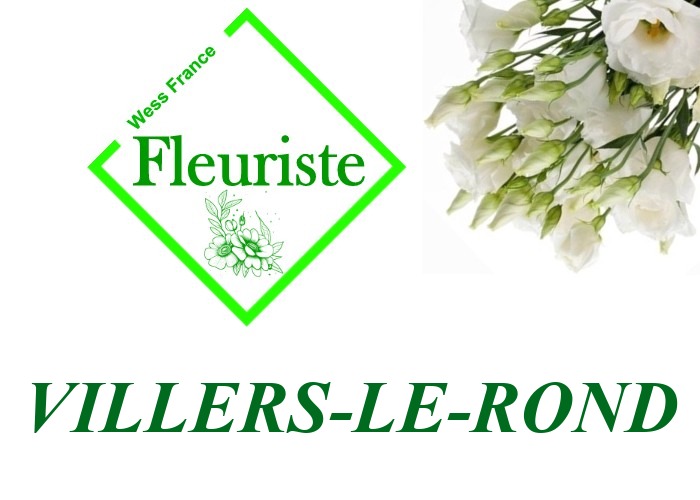 Fleuriste Villers-le-Rond Fleuriste Villers-le-Rond - livraison de fleurs Villers-le-Rond