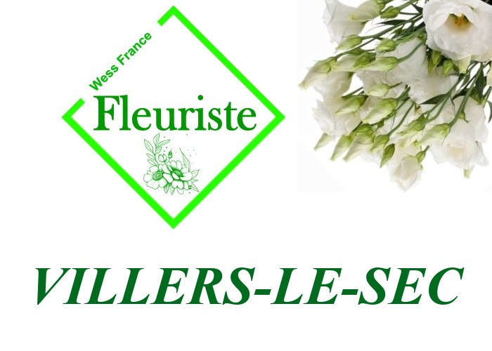 Fleuriste Villers-le-Sec Fleuriste Villers-le-Sec - livraison de fleurs Villers-le-Sec
