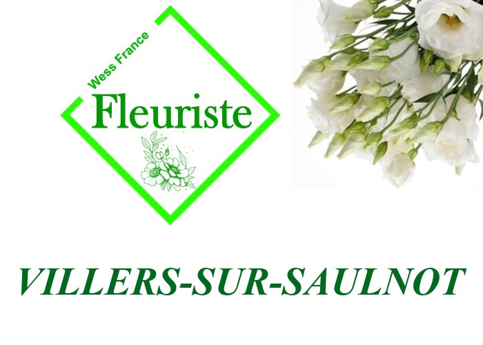 Fleuriste Villers-sur-Saulnot Fleuriste Villers-sur-Saulnot - livraison de fleurs Villers-sur-Saulnot