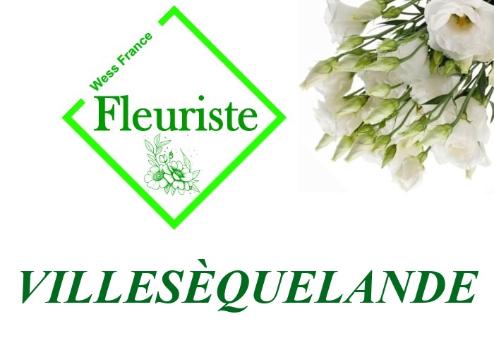 Fleuriste Villesèquelande - livraison de fleurs Villesèquelande