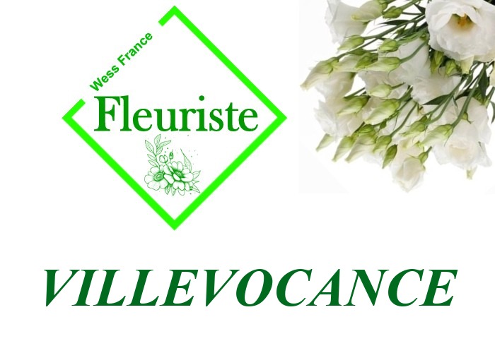 Fleuriste Villevocance Fleuriste Villevocance - livraison de fleurs Villevocance