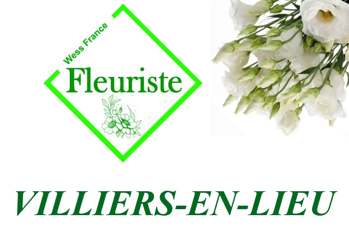 Fleuriste Villiers-en-Lieu Fleuriste Villiers-en-Lieu - livraison de fleurs Villiers-en-Lieu