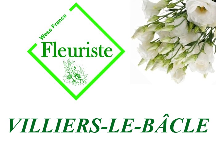 Fleuriste Villiers-le-Bâcle Fleuriste Villiers-le-Bâcle - livraison de fleurs Villiers-le-Bâcle