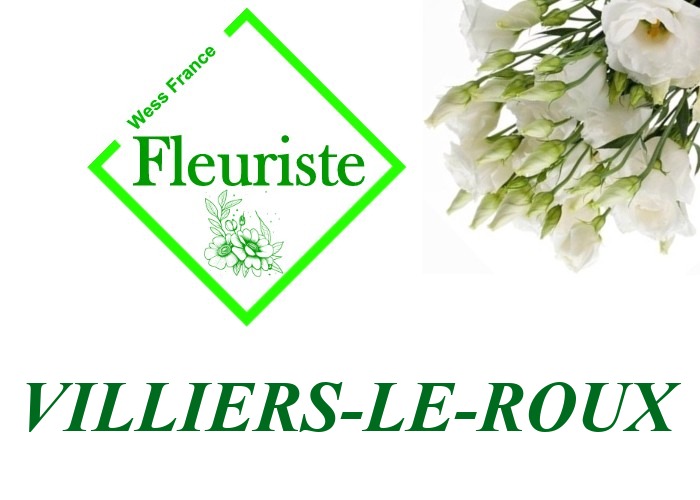Fleuriste Villiers-le-Roux - livraison de fleurs Villiers-le-Roux