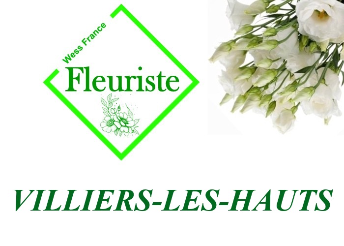 Fleuriste Villiers-les-Hauts - livraison de fleurs Villiers-les-Hauts