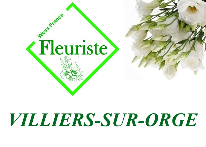 Fleuriste Villiers-sur-Orge Fleuriste Villiers-sur-Orge - livraison de fleurs Villiers-sur-Orge