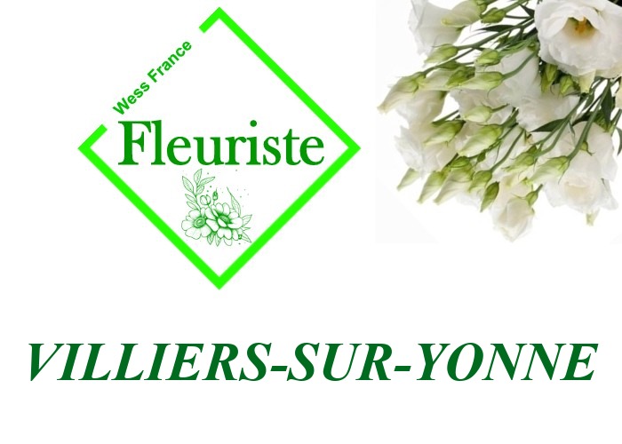 Fleuriste Villiers-sur-Yonne Fleuriste Villiers-sur-Yonne - livraison de fleurs Villiers-sur-Yonne