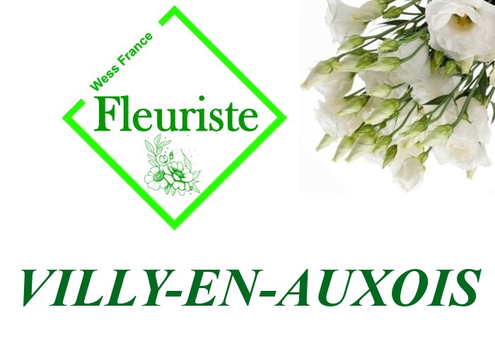 Fleuriste Villy-en-Auxois Fleuriste Villy-en-Auxois - livraison de fleurs Villy-en-Auxois