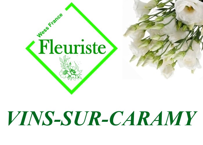 Fleuriste Vins-sur-Caramy - livraison de fleurs Vins-sur-Caramy